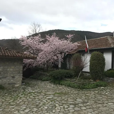 Divetsite Hotel