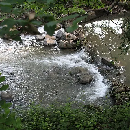 Szálloda Divetsite 2*